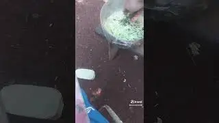 Tratando meus garniz&eacute;s 