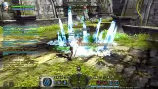 DN Basic Elemental Lord Combo