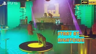STRAY AT NIGHTCLUB- Chap 10: Midtown walkthrough |Ultra Graphics [4k 60FPS HDR]