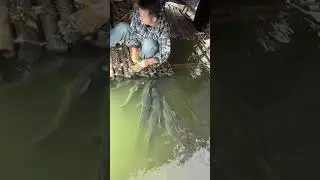 Feeding the fish is so much fun!