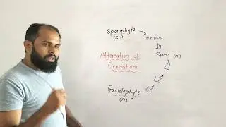 Alternation of Generations | alternation of generation | diplohaplontic life cycle @sadibiology5221