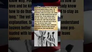 The 6-Year-Old&rsquo;s Wisdom That Silenced a Vet
