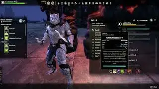 Simple DPS Build and Parse - ESO