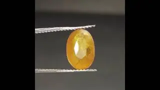 #YellowSafir