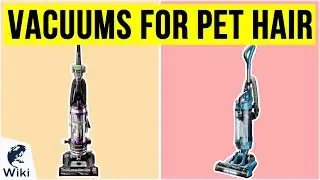 10 Best Vacuums for Pet Hair 2020