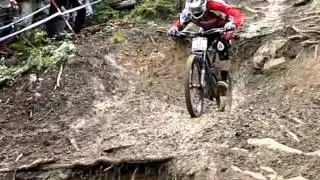 Downhill World Cup Leogang