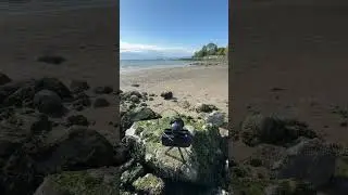 Downtown Vancouver on Horseman SW617, The Ultimate Panoramic Film Camera #shorts