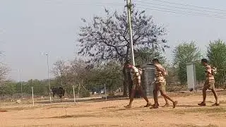 ITBP karera