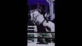 Show Jumping🤩 #horses #shorts #showjumping #trending #horseriding #horsejumping