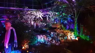 Duthie Park Winter Wonderland Light Trail - Winter Gardens illuminations - Aberdeen, Scotland