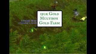 WOW: Emerald Whelp Multibox Farm