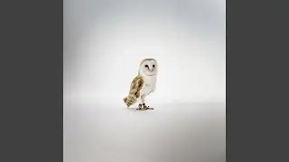 Remède
