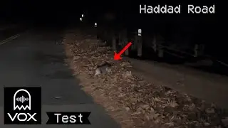 Driving Down Haddad Road in Seymour, CT + Spirit Box Test