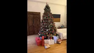 260107 Albero di Natale 2025