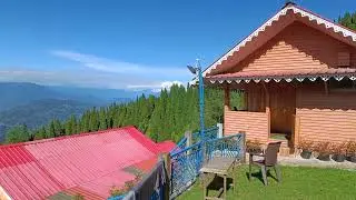 Little forest homestay, Nov 2025