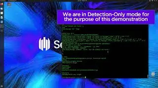 SentinelOne vs DarkRadiation | Ransomware Protection on Linux and Docker cloud containers