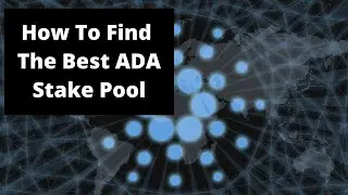 How To Choose The Best Cardano Stake Pool For Shelley Incentivized Testnet