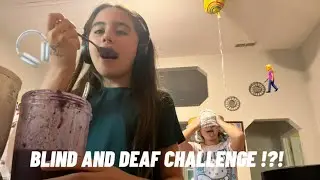 blind and deaf challenge !?! | aly + candy