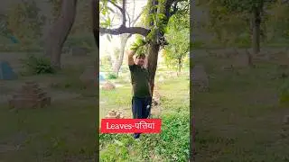 English spoken#tree part name#spoken #english#education #viralreels