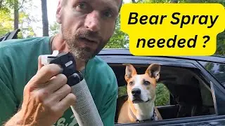🔥 First Time Car Camping in New York | Free Dispersed Camping + Bear Sighting with My Dog