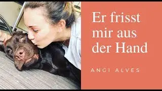Er frisst mir aus der Hand - Warum ich meinen Hund aus der Hand füttere