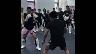 How Lerdsila face low kick?