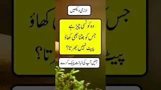 Islamic sawal jawab | islamic question and answer in English and urdu #shortsfeed #islmic #mrbeast