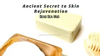 Dead Sea Mud body, face and hair Mask -