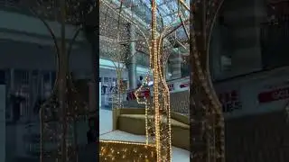 Shinny Ramadan camel #camel #ramadan #dubai #decoration