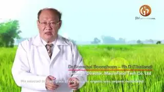 AlphaMeta - I don't know, it's rice?