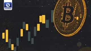 Impact Of Halving Reflecting On Bitcoin Price Action