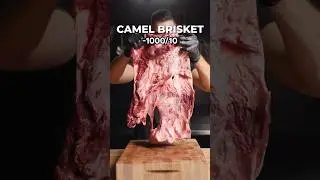 I Cooked EVERY Exotic Brisket