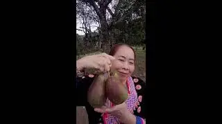 montessergio Videos #37