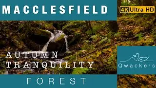 Macclesfield Forest and a Tumbling Stream #autumn #tranquility