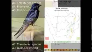 D4S27L1 Nicholas Theron The conservation of important bird areas in KZN