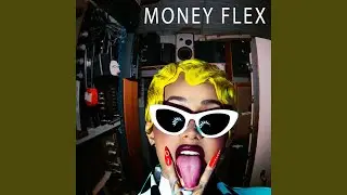 MONEY FLEX