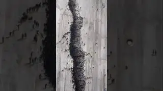 This is not a crack। amazing facts #facts
