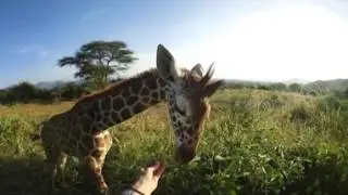 Nikon KeyMission 360 - Combo vid&eacute;o 360&deg;
