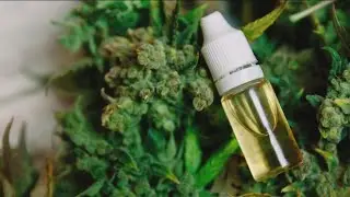 DEA telling pharmacies in Georgia they could be breaking law if they possess, sell medical marijuana
