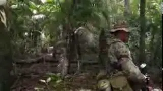 Manhunt: Killer Bees Attack Crew