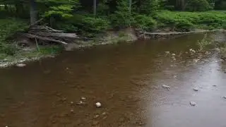 Esopus Creek 6/6/25 #2