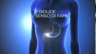 DIMA-CALO SAZIANTE: COME FUNZIONA