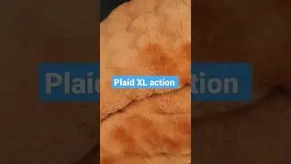 plaid action XL pas cher #vlog #chorts #action