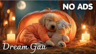 10 Hour Dog Lullaby 🐕 Separation Anxiety Relief & Stress Relief Pet Music