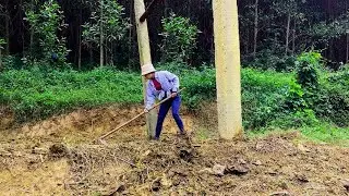 Renovating an abandoned garden more than 50 years old | Duong Farm | Ep 2