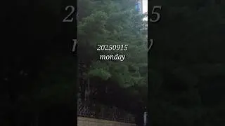 20250915  | Look at the View20250913 #DailyVlog #CalmVlog  #KoreanVlog #韓国日常 #vlog #commutevlog