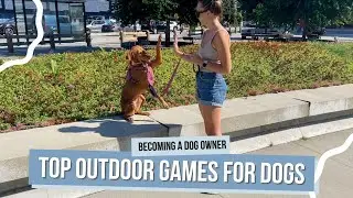 Best Outdoor Dog Activities for Summer