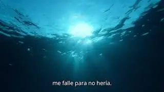 Renacer en amor