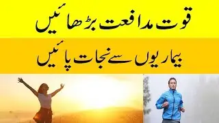 Immunity Boosting Foods | Quwat e Mudafiat