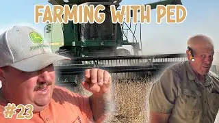 2025 Harvest Has Begun | Farming with Ped